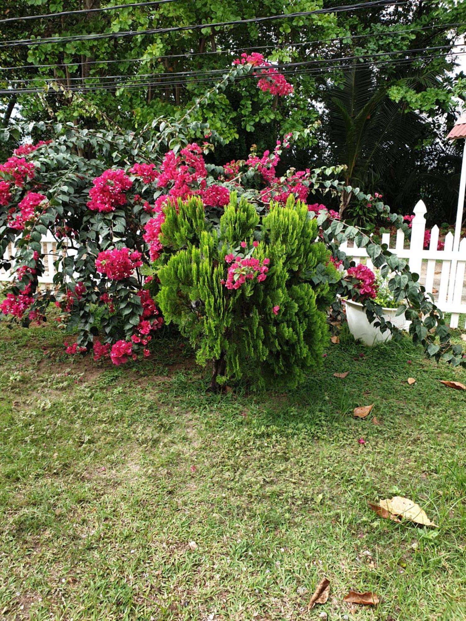 Villa Authentique La Digue Exterior photo